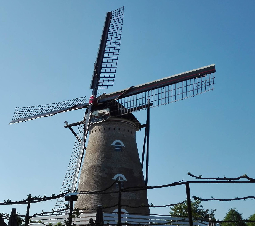 Square image